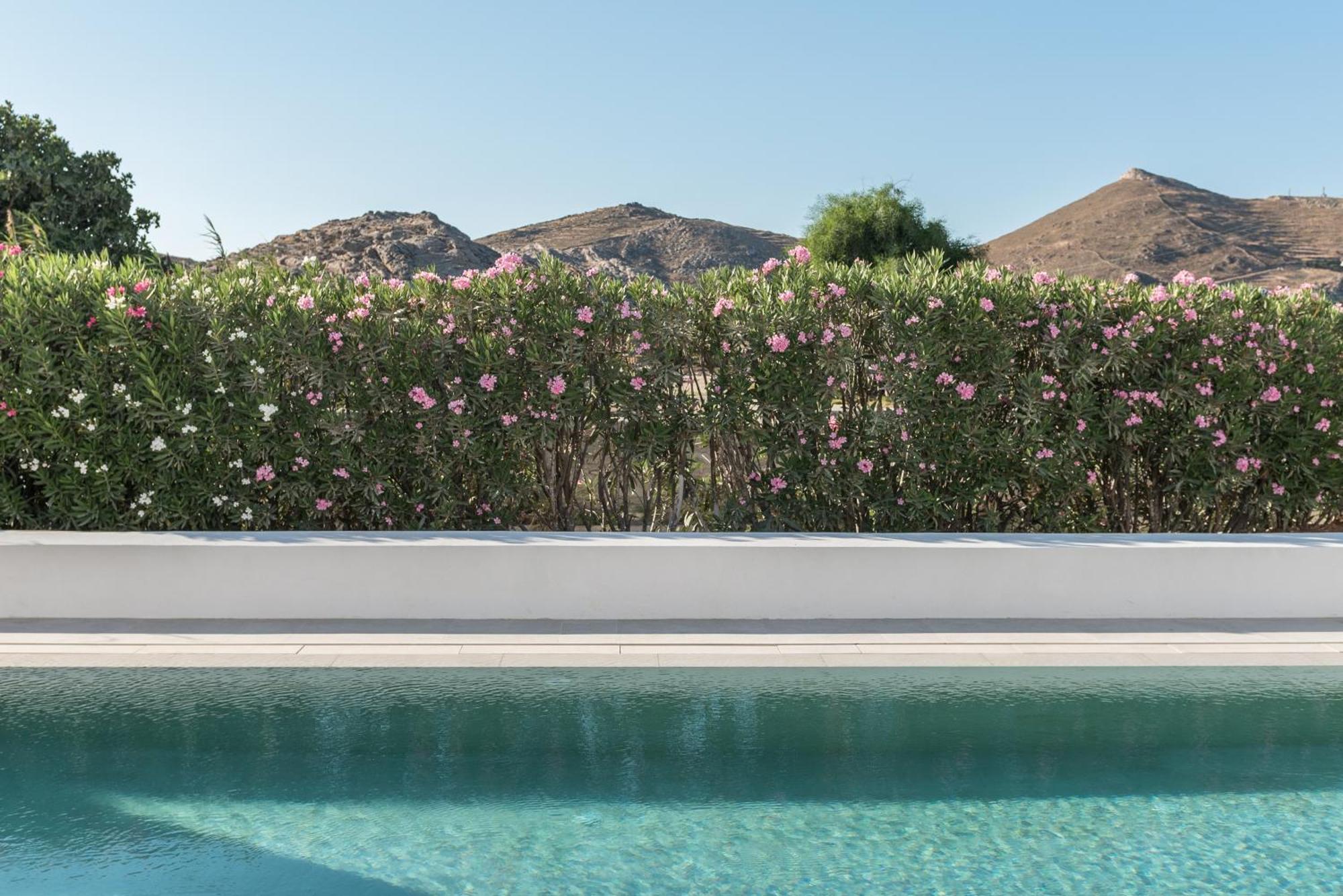 Parilio, A Member Of Design Hotels Naousa  Ngoại thất bức ảnh